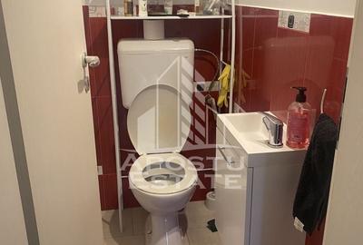Casă individuală cu 5 camere cu Canalizare în Sacoșu Turcesc - 14