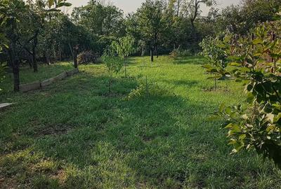 Casă cu Teren 900 Mp în Prunaru