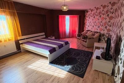 Garsonieră decomandată, mobilată în Faleză
