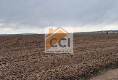 Teren agricol intravilan de 10000 mp, în Vest - 4