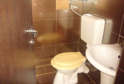 Casă cu 8 camere cu Garaj în Dorobanți - 8