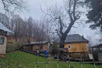 Casă cu 4 camere cu Teren 60 Mp în Râu Alb - 4