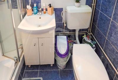 Casă individuală cu 2 camere cu Canalizare în Regie - 9