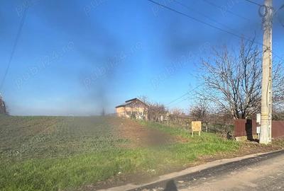 Teren de 5000 mp, în Glina - 4