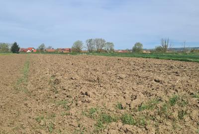 Teren agricol extravilan de 2100 mp, în Reci - 3
