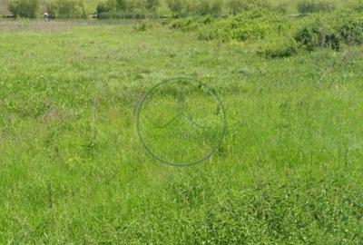 Teren de 4056 mp, în Sânmihaiu de Câmpie - 4