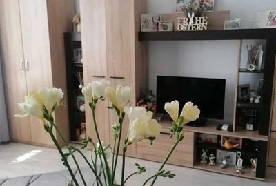 Apartament cu 20 camere semidecomandat, mobilat în Podu Roș - 2