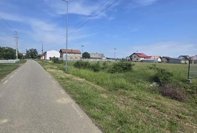 Spațiu comercial, în Botiz - 6