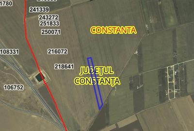 Teren agricol extravilan de 50000 mp, în Viile Noi - 7