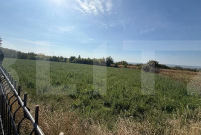 Teren de 3600 mp, în Călinești