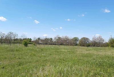 Teren de 2621 mp, în Petrăchioaia - 3