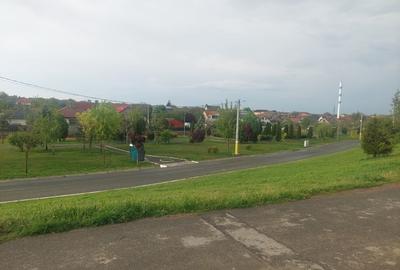 Casă cu 4 camere în Valu lui Traian - 14
