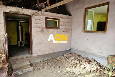 Casă individuală cu 2 camere cu Canalizare în Cetate - 12