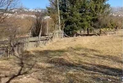 Teren de 2782 mp, în Roșu - 5