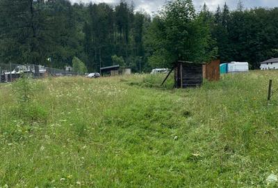 Teren de 1400 mp, în Măneciu - 6