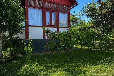 Casă cu 2 camere cu Teren 4400 Mp în Viile Satu Mare