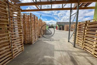 Spațiu comercial, de 800 mp, în Măgurele - 16