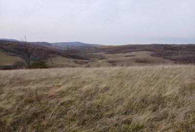 Teren de 19150 mp, în Tomnatic