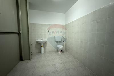 Spațiu industrial, de 501.82998657227 mp, în Mihai Viteazu - 9