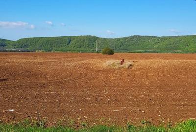 Teren de 2500 mp, în Bănești