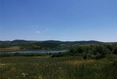 Teren în Săcălaia - 4