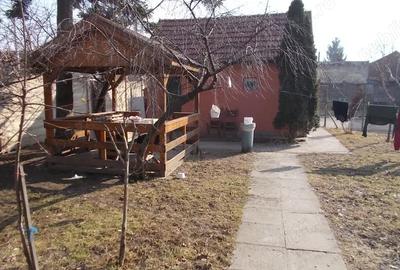 Teren de 3500 mp, în Mehala - 9
