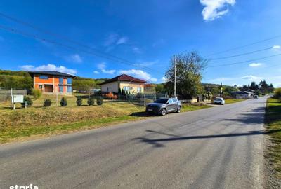 Casă cu 4 camere cu Teren 2575 Mp în Iordăcheanu