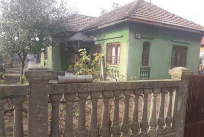 Casă cu 4 camere în Goicea - 1