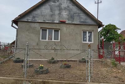 Casă cu 4 camere cu Teren 2685 Mp în Exterior Vest