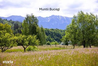 Teren de 1000 mp, în Bran