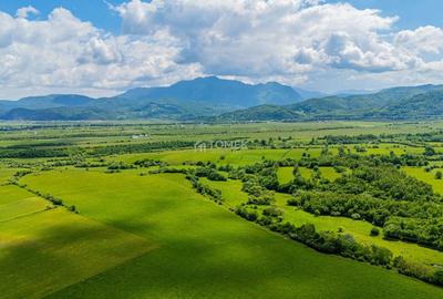Teren agricol extravilan de 5800 mp, în Tohanu Nou - 6