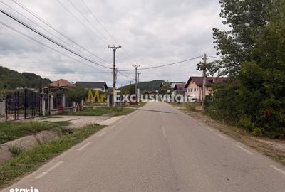 Teren de 1000 mp, în Băbana