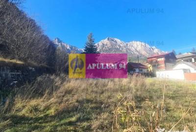 Teren de 14969 mp, în Bușteni - 5