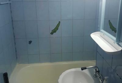 Apartament cu 2 camere decomandat în Dobroteasa - 2