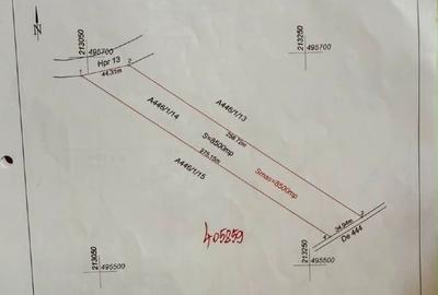 Teren agricol extravilan de 8500 mp, în Pișchia - 4