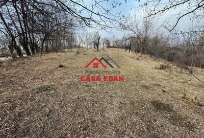 Teren Construcții intravilan de 3074 mp, în Cornu de Jos (Cornu) - 4