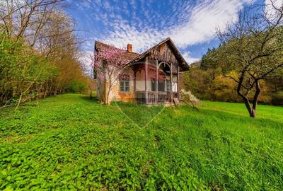 Casă individuală cu 4 camere cu Teren 5000 Mp în Cărand
