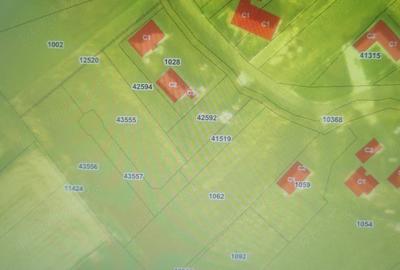 Teren de 600 mp, în Bulai