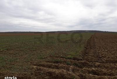 Teren de 29100 mp, în Sântandrei