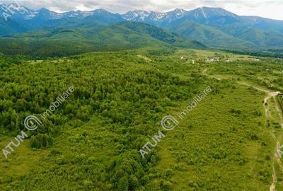 Teren extravilan de 2000 mp, în Porumbacu de Sus - 2