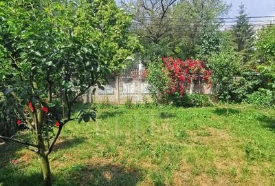 Casă cu 2 camere cu Teren 175 Mp în Iris - 3