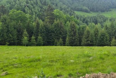 Teren de 300 mp, în Brădățel - 1