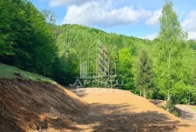 Teren Construcții extravilan de 18000 mp, în Exterior Sud - 26