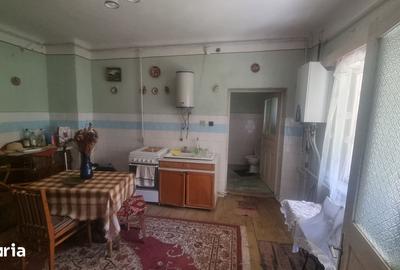 Casă cu 5 camere cu Teren 7928 Mp în Central