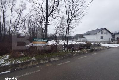 Teren de 480 mp, în Priseaca - 3