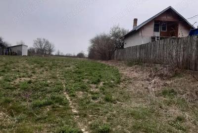 Teren în Dărmănești - 2