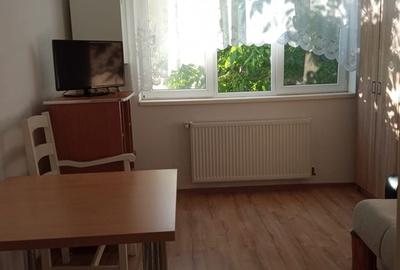 Garsonieră în Terezian - 1