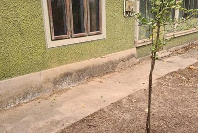 Casă cu 4 camere cu Teren 2560 Mp în Suhaia - 3