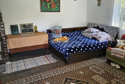Casă cu 3 camere cu Teren 1400 Mp în Nicolae Bălcescu - 2