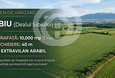 Spațiu comercial, în Șura Mare